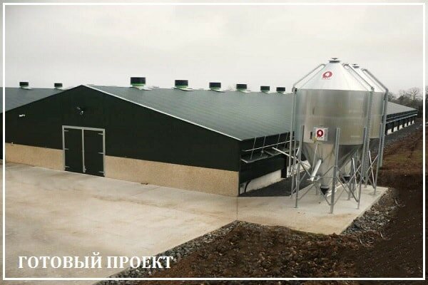 Этапы возведения птицефабрики от завода ВелесТент-рмн
